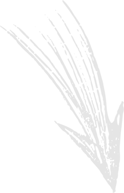 Arrow 1